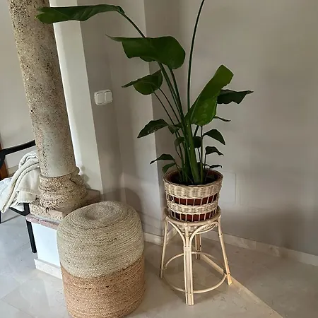 Heal 别墅 马尔韦利亚